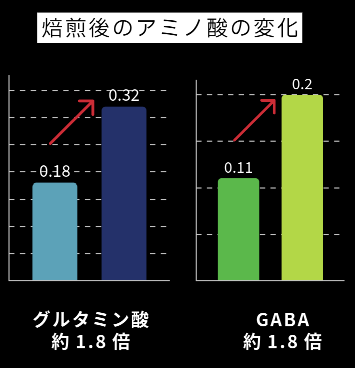 焙煎後のアミノ酸比較。グルタミン酸は0.18から0.32、GABAは0.11から0.20となり、それぞれ約1.8倍。